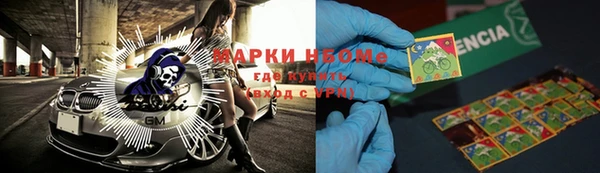 сатива Елабуга