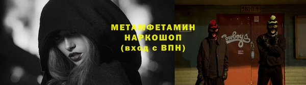 сатива Елабуга