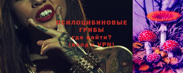 сатива Елабуга