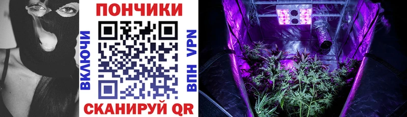 Купить  Котельниково  Бошки Шишки Bruce Banner 